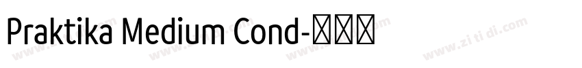 Praktika Medium Cond字体转换